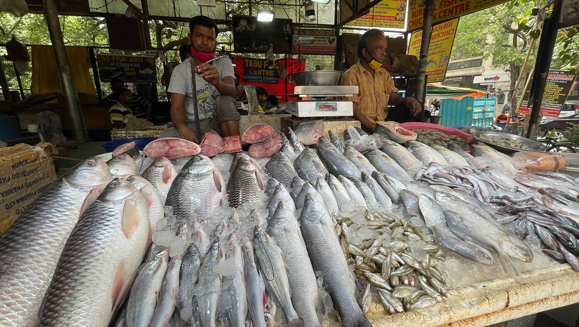 https://www.newindian.in/wp-content/uploads/2022/06/CR-Park-Fish-Market_02-FEATURE-FOR-WEBSITE.jpg