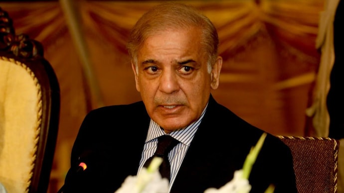 Prime Minister Shehbaz Sharif’s special assistant on revenue Tariq Mehmood Pasha will investigate the matter and submit a report in 24-hours.