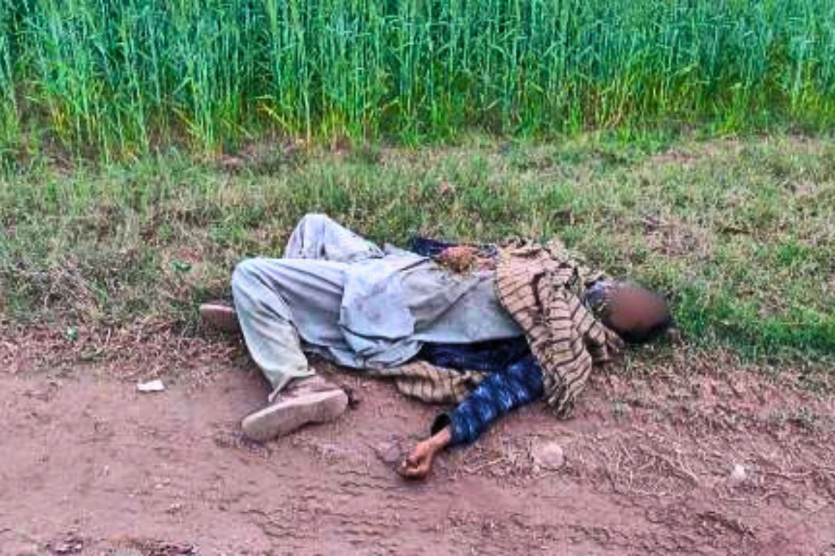 BSF guns down Pakistani intruder in Pathankot.