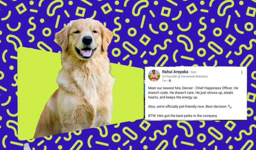Hyderabad Startup Hires Golden Retriever as Chief Happiness Officer