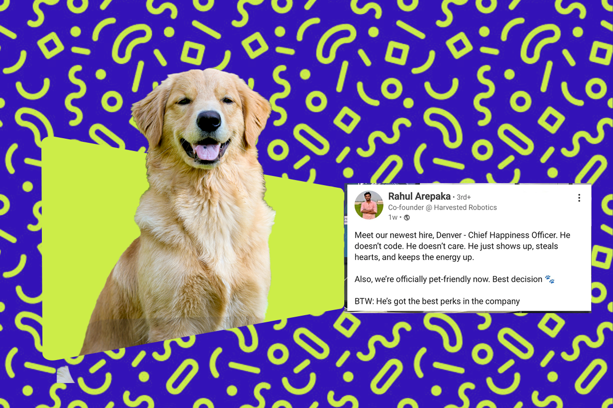 Hyderabad Startup Hires Golden Retriever as Chief Happiness Officer